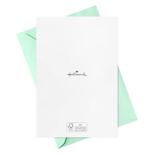 Hallmark Birthday Cards with Envelopes, Assorted 16-Pack (So Cake-Worthy!)
