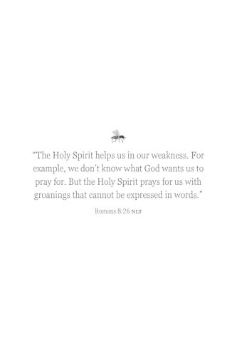 Mourning Glories: 40 Devotions on Grief, Faith, and New Seasons for Widows