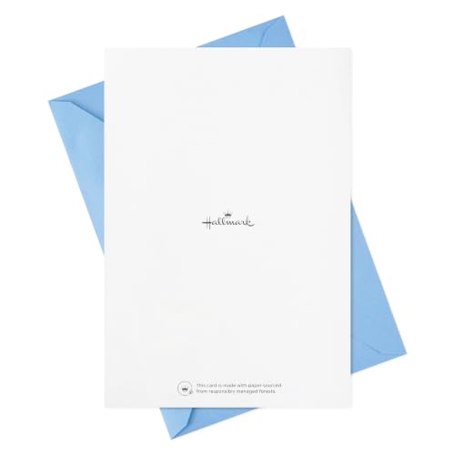 Hallmark Bulk Sympathy Cards, Assorted 16-Pack (Painted Flowers)