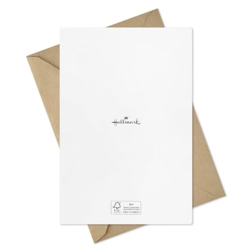 Hallmark Sympathy Cards, Assorted 16-Pack (Minimalist Nature)