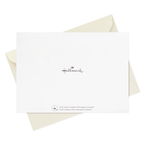 Hallmark Bulk Thank you Cards, Assorted 24-Pack (Minimalist Gold Foil)