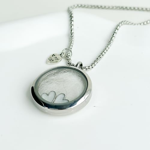 Cat Fur Keepsake Necklace, Ashes Hair Memory Urn with Charm, Glass Circle Memorial Pendant Necklace, Pet Cremation Memorial Jewelry for Women Men, Vial Necklace for Ashes
