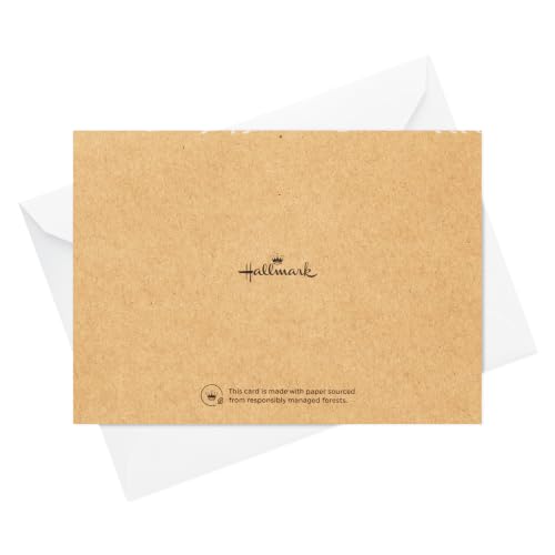 Hallmark Bulk Thank You Cards, Assorted 48-Pack (Rustic Kraft)