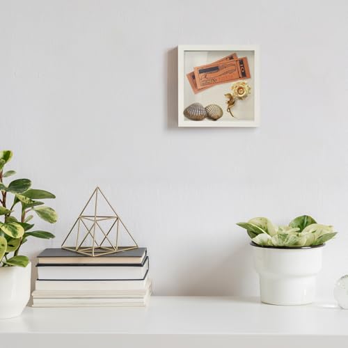 TJ.MOREE Small Shadow Box Frame 5 x 5 Display Case Wooden Picture Frame - color: White, size: 5x5