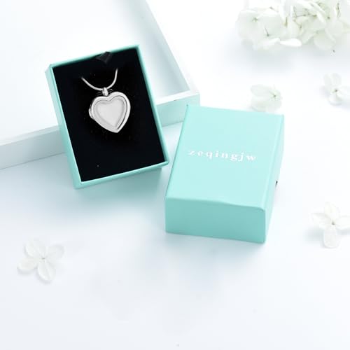 zeqingjw Glass Cremation Jewelry - Round Heart Memorial Urn Necklace for Ashes of Loved One - Stainless Steel Human Pet Dog Cat Keepsake Urn Pendant - color: A-Silver