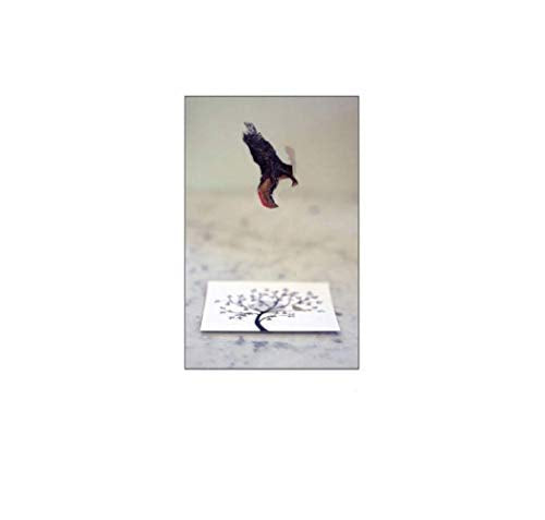 Flying Wish Paper - Hot Air Balloons, Original Artwork - Write it, Light it & Watch it Fly Large Kit, 7" x 7"