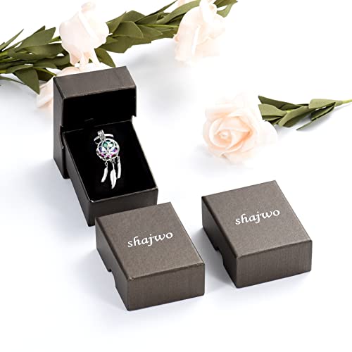 shajwo Cremation Jewelry Dream Catcher Urn Keychain for Ashes for Women Men Memorial Angel Wing Human Pet Ashes Pendant - color: Rainbow