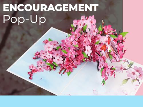 iGifts And Cards Cherry Blossom 3D Pop-Up Card – In Full Bloom 6"x8" | Robins, Pink Flowers, Nature-Inspired Greeting, Mother, Friend, Daughter, Spring Keepsake, Thinking of You Memento, Notecard - color: Cherry Blossom Robins