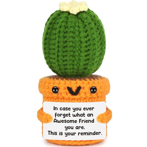 Agantree art Birthday Friend Gifts for Women Best Friend Birthday Long Distance Graduation Friendship Gifts for Woman Her, Sister, Besties, Crochet Cactus Desk Decor Christmas - style: Friend