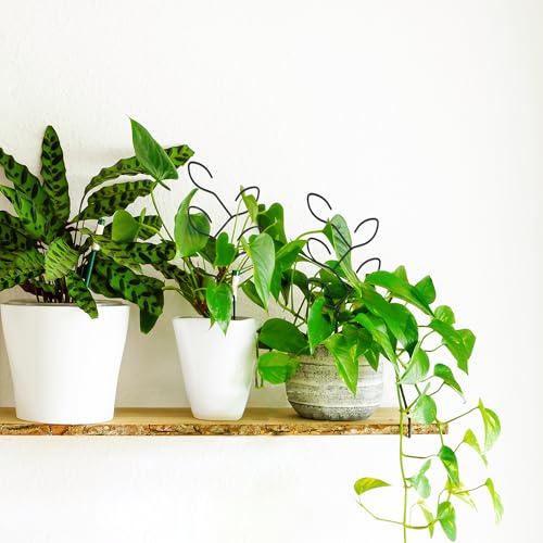 2Pcs Metal Leaf Shape Garden Trellis for Climbing Plant Indoor - color: C