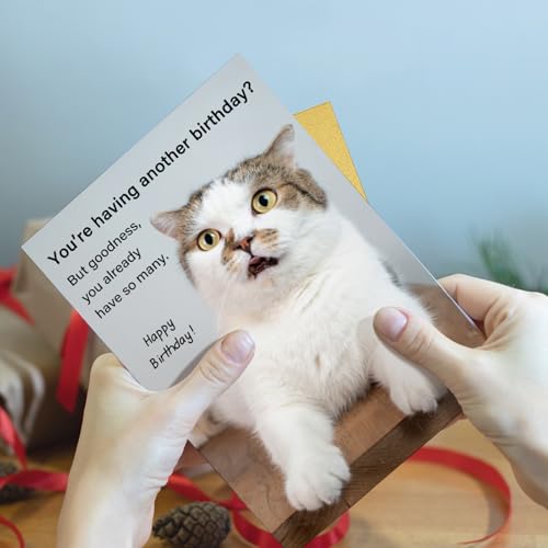 Qiliji Hilarious Cat Birthday Card for Him Her, Lovely Happy Birthday Card for Cat Lover, Funny Cats Mom or Cats Dad Bday Cards - color: Cat Birthday
