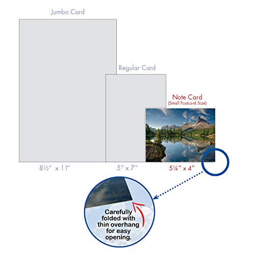 The Best Card Company - Box of 10 All Occasion Cards Blank (4 x 5.12 Inch) - Scenic Landscape Cards Assorted - Reflections M1728BN - style: Reflections