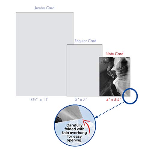 The Best Card Company - 10 Blank Note Cards with Envelopes (4 x 5.12 Inch) - Black & White Photos, Bulk Boxed Set - Free Forms M3310 - style: Free Forms