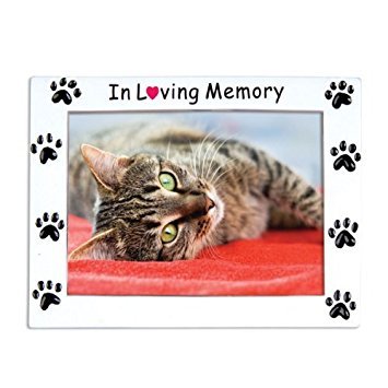 In Loving Memory Pet Picture Photo Frame Ornament