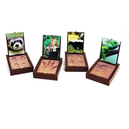 PawPals Paw Print Keepsake Classic Mold Kit, Instant Paw Print Kit with Display Frame & Photo Window, Pet-Safe, No Kneading, Mixing, Baking or Drying Keepsake (Small)
