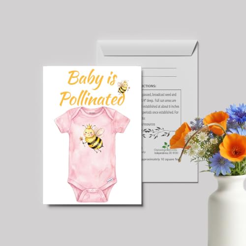 Outsidepride Baby Announcement Seed Packet Favors - 25 Packets - size: Option 1, style: Baby Announcement