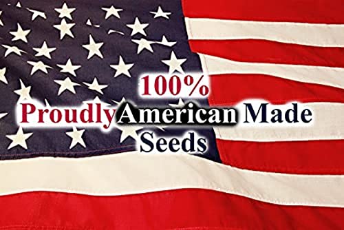 Black Duck Brand Set of 25 Cosmos Early Sensation Flower Seed Packets! Flower Seeds in Bulk - Great for Creating The Garden of Your Dreams! (25, Cosmos - Early Sensation) - color: Cosmos - Early Sensation