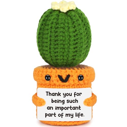 Last Day Of School End of Year Gifts for Teacher Thank You Graduation Gifts for Friends Sister Women Coworker Employee Appreciation Teacher Appreciation for Women Men Nurse Crochet Cactus Desk Decor - style: Thank You