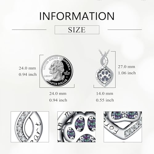 Butterfly/Dragonfly/Pet Paw/Tree of Life/Maple Leaf/Cross Urn Necklace for Ashes 925 Sterling Silver Cremation Pendant Jewelry Gifts for Women Mom - color: Paw-June