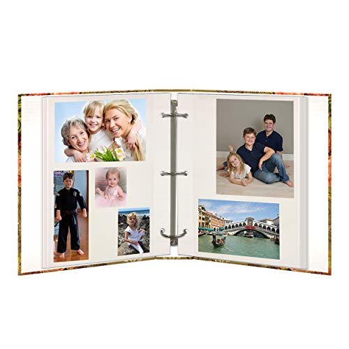 Pioneer Photo Albums TR-100D/FBC Magnetic 3-Ring 100 Page Photo Album, French Birdcage Design - color: French Birdcage