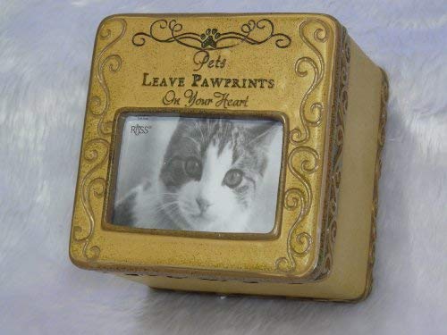 Pet Memorial Cat Photo Box Sentiment Keepsake Gift Russ Berrie