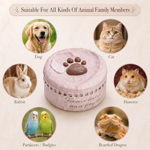 Pet Memorial Gift Set for Loss of Dog Cat | Resin Paw Print Box, Stainless Steel Cremation Urn, Waterproof Ashes Necklace (Bone&Heart), Pet Hair Keychain sympathy gift