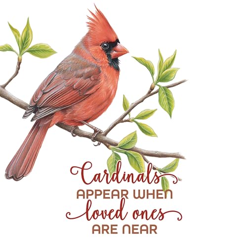Magnolia Garden 11-Inch Cardinal Memorial Iron Wind Chime – Loved Ones are Near Sympathy Gift – White Metal Hanging Bereavement Bell – Remembrance Garden Decor for Loss of Mother, Father, or Spouse