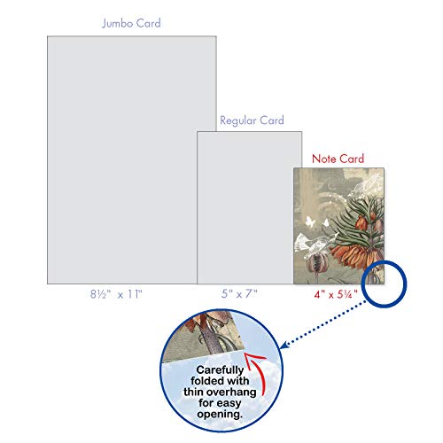 The Best Card Company - 10 Assorted Flower Cards Blank for Women (4 x 5.12 Inch) - All Occasion Floral Greetings Boxed - Floral Collages M2986OCB - style: Floral Collages