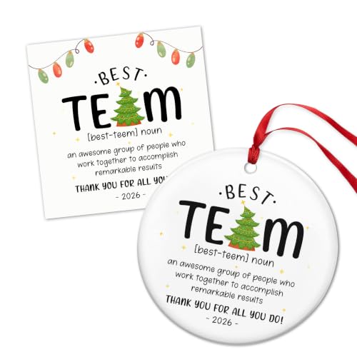 TEEZWONDER Team Gifts for Employees Coworkers - Christmas Ornaments 2026 - color: Best Team 2