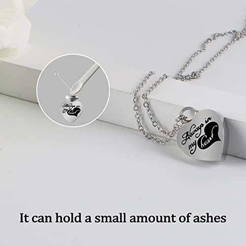 Small Keepsake Urns for Human or Pet Ashes - Mini, Tiny, Heart Shaped Case with Blue Light