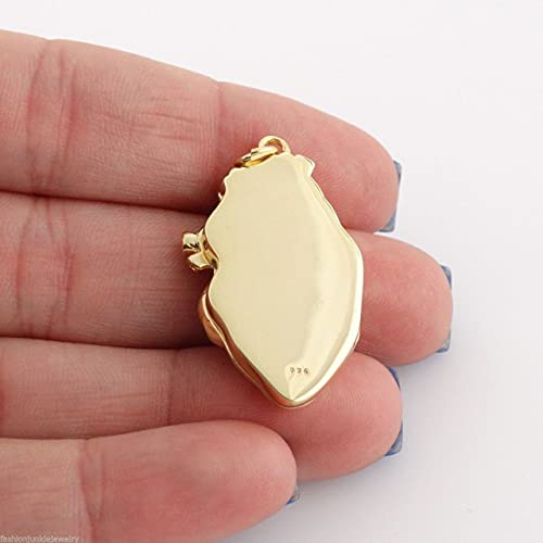 FashionJunkie4Life Sterling Silver Locket Necklaces for Women, 18" Cable Chain - color: Gold Anatomical Heart