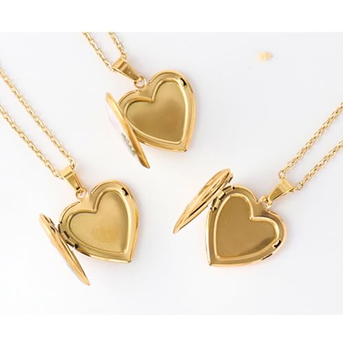 Heart Locket Necklace That Holds Pictures Pressed Flower Photo Locket Pendant Necklace for Girl Women Gift for Her - style: Lobelia
