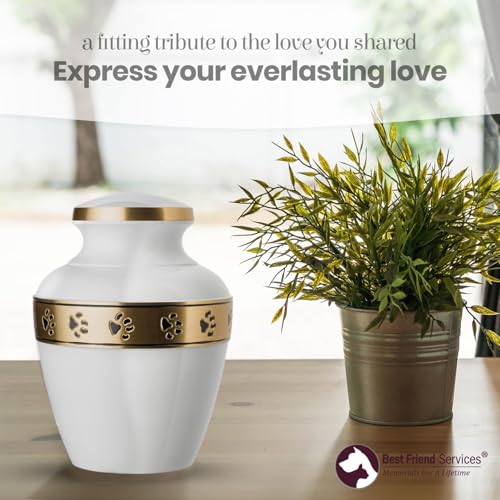 Morgan Legacy Cloud White/Brass Pet Urn, up to 65lbs - color: Cloud White, Brass Band, size: Medium