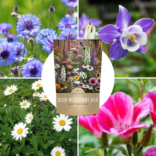 Deer Resistant Wildflower Seed Mixture - Bulk 1/4 Pound Bag - Over 60,000 Deer Tolerant Seeds - Open Pollinated and Non GMO - size: 1/4 Pound Bag