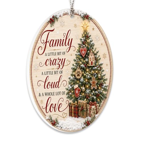 Family Christmas Ornament 2026, Funny Family Tree Ornament, A Little Bit of Crazy, A Little Bit of Loud, A Whole Lot of Love Holiday Keepsake - color: Family1