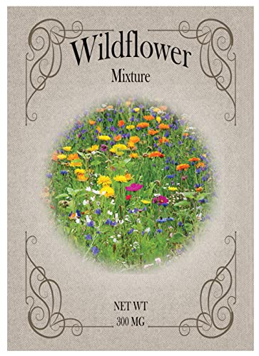 Black Duck Brand Set of 25 Packs of Wildflower Seed Packets! Flower Seeds in Bulk - Great for Creating The Garden of Your Dreams! (25, Wildflower Mix) - color: Wildflower Mix