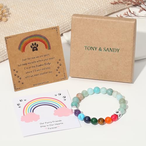 TONY & SANDY Dog Memorial Gifts, Pet Sympathy Rainbow Bridge Pet Memorial Bracelet for Men Women Girls Who Loss of Beloved Dog Cat - color: Amazonite