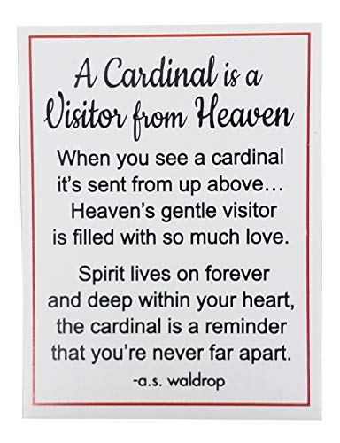 Ganz A Cardinal is a Visitor from Heaven Charm Pocket Token with Story Card ~ Remembrance Memorial (Quote May Vary); 1 Token only