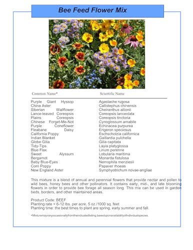 Bulk Wildflower Seed Mix – Honey Bee Wildflower Seed Mix 1 Pound Tub by GevaGrow | Bulk 300,000+ Seed Tub | 19 Variety Flower Seeds for Planting in Pots & Outdoor Gardens | No Messy Bags or Packets | - size: 1 Pound Tub, style: Honey Bee Mix