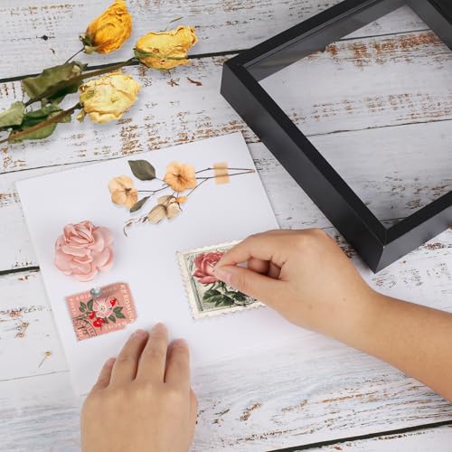 Ninsula 8x8 Shadow Box, Shadow Box Frame with Soft Linen Back - Push 12PCS Pins Included, 3D Picture Display Cases Box for Flowers, Tickets, Souvenirs, Photographs, Handicrafts (Black)