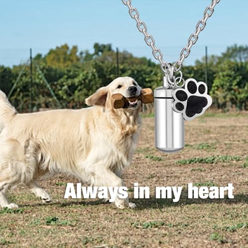 Stainless Steel Pet Urn Necklace for Ashes - Memorial Cremation Jewelry with Black Paw Print Charm, Christmas/Mother's Day/Thanksgiving Sympathy Gift for Dog/Cat Lovers