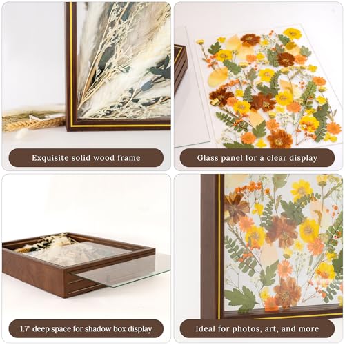 Pressed Flower Frame 11x14 Floating Glass for Dried Flowers