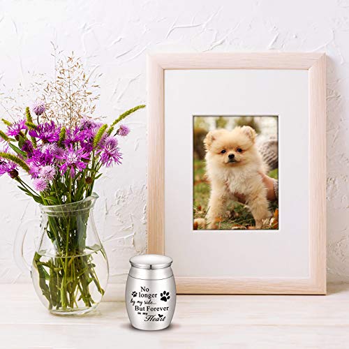 XIUDA 1.57 inches Mini Pet Memorial Small Urns for Dog and Cat Ashes, Stainless Steel Cremation Urn, Pet Paw Print Keepsake Urn for Ashes - color: S Silver-engraving