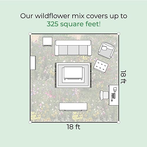 Wisconsin Wildflower Seed Mix – Over 40,000 Flower Seeds, Covers 300 Sq Ft | 16 Colorful Annual and Perennial Wildflower Varieties for Wisconsin Gardens, Attracts Bees, Butterflies and Other Pollinators