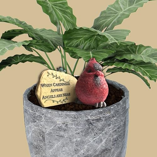 Memorial Remembrance Desktop Plaques Set of 2 – Sympathy Gifts for Loss of Loved One – “When Cardinals Appear Angels Are Near” Bereavement Signs – In Loving Memory Keepsake Desk Décor