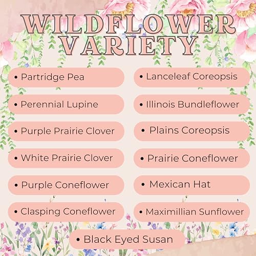 Wildflower Seed Packets in Loving Memory (Pack of 30) Funeral Gift Sympathy Remembrance Memorial Service Forget Me Not