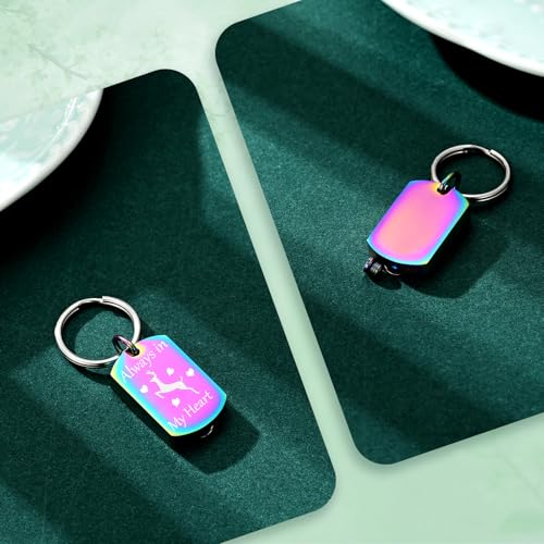 Cremation Jewelry Urn Keychain for Ashes for Women Men Memorial Keepsake Pendant - color: Rainbow
