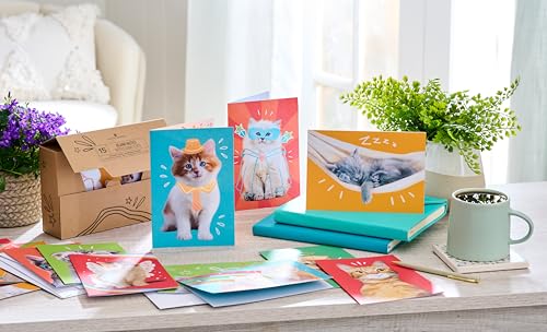 American Greetings Blank Cards and Envelopes Assortment Box, Funny Cats, 15 count