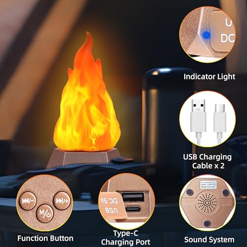 Toodour 2 Pack Outdoor Flame Lights with Bluetooth Speaker - color: Warm White, size: 2 Pack