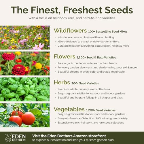 Eden Brothers All Annual Wildflower Mixed Seeds for Planting, 1 oz, Seeds with Sunflower, Indian Blanket, Scarlet Flax | Attracts Pollinators, Plant in Spring, Zones 3, 4, 5, 6, 7, 8, 9, 10 - size: 1 Ounce, style: All Annual
